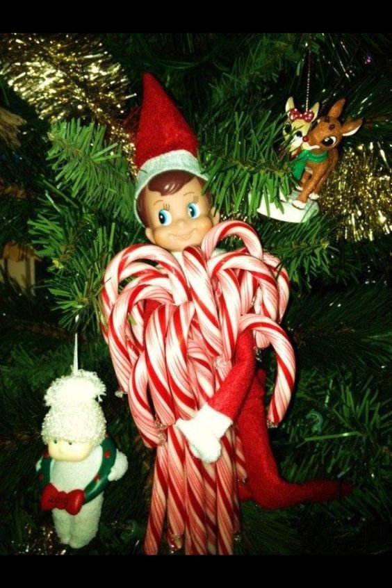 BEST Elf on the Shelf Ideas